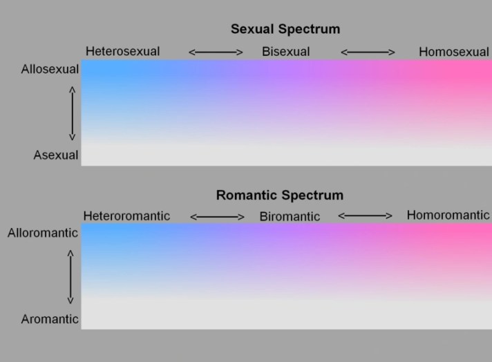 Andrea Roma. Una representación visual del SAM utilizando una escala de Kinsey modificada. Fuente: lgbt.fandom.com Licencia: CC BY SA.