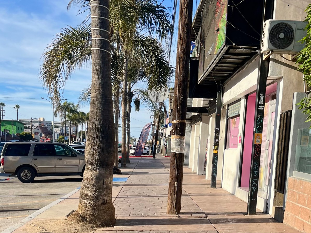 Episodio 3: Caminamos el Blvd. Benito Juárez